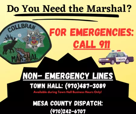 Who to Call  Emergency vs Non emergency
