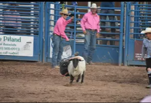 2021 Rodeo