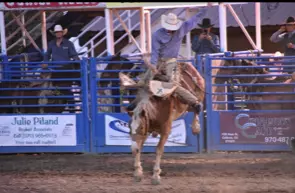2021 Rodeo