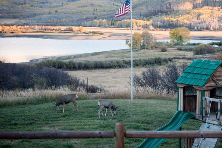 Wildlife at the Vega Lodge